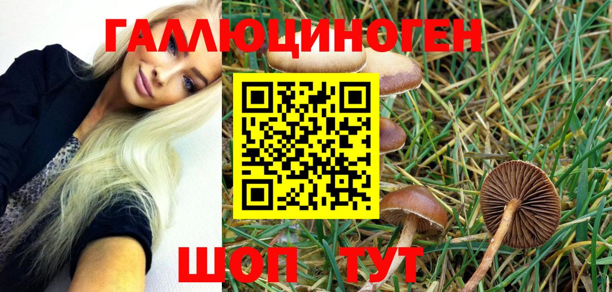 Псилоцибиновые грибы мухоморы Лянтор