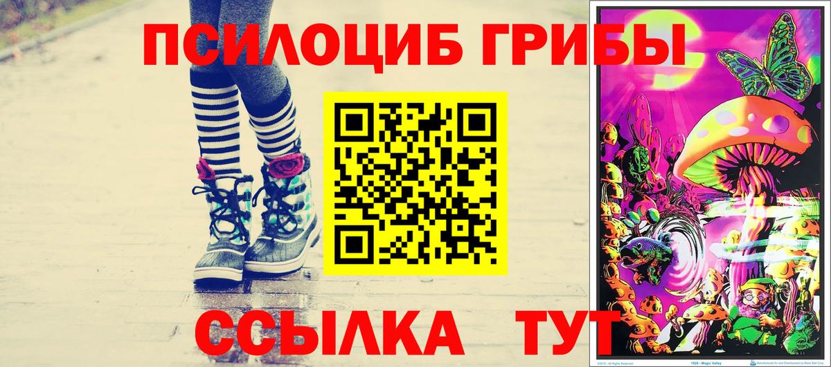 Лянтор  Галлюциногенные грибы мухоморы  Вход с VPN  Псилоцибиновые грибы Psilocybe 