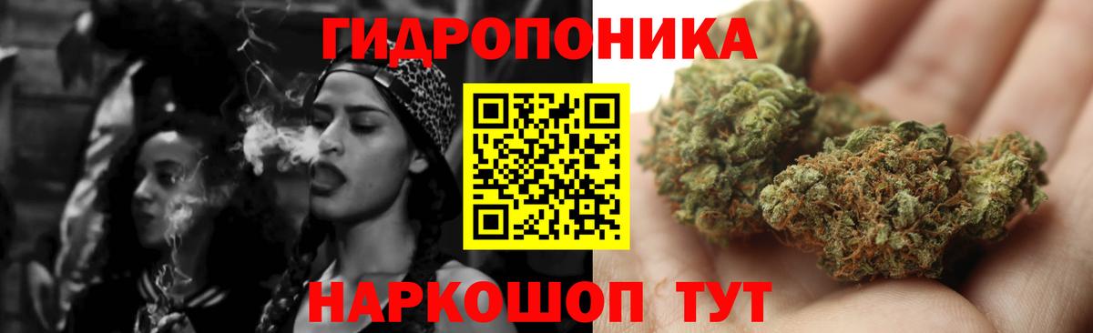 Шишки марихуана план Лянтор
